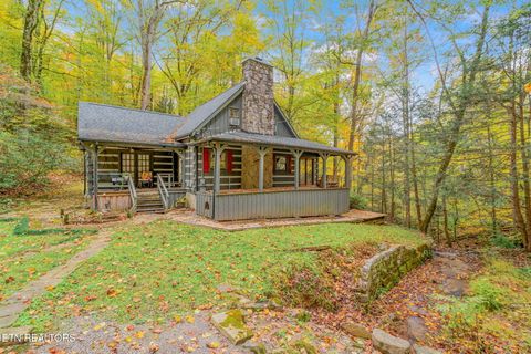 Photo of 205 Tobby Hollow Lane, Knoxville, TN 37931 (MLS # 1328691)