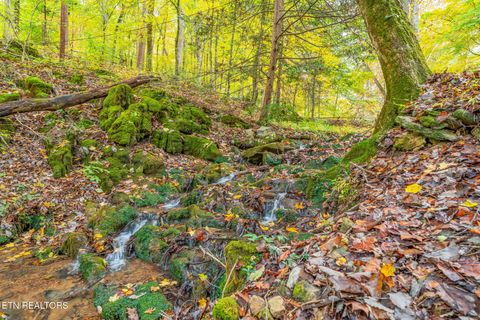 Tiny photo for 205 Tobby Hollow Lane, Knoxville, TN 37931 (MLS # 1328691)