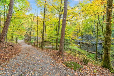 Tiny photo for 205 Tobby Hollow Lane, Knoxville, TN 37931 (MLS # 1328691)