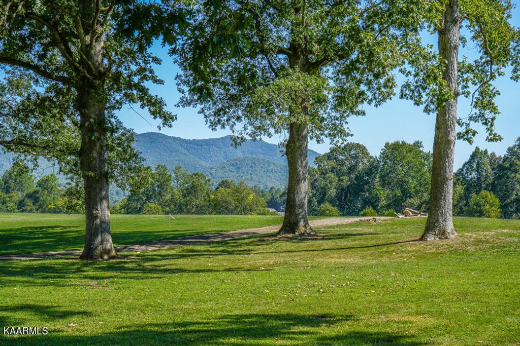 Photo of 233 Myers Rd, Townsend, TN 37882 (MLS # 1207049)