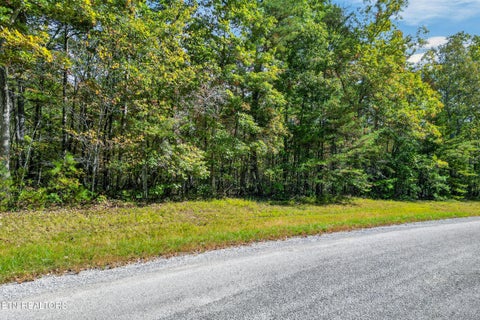 Tiny photo for 14 N Laurel Loop, Monterey, TN 38574 (MLS # 1359604)