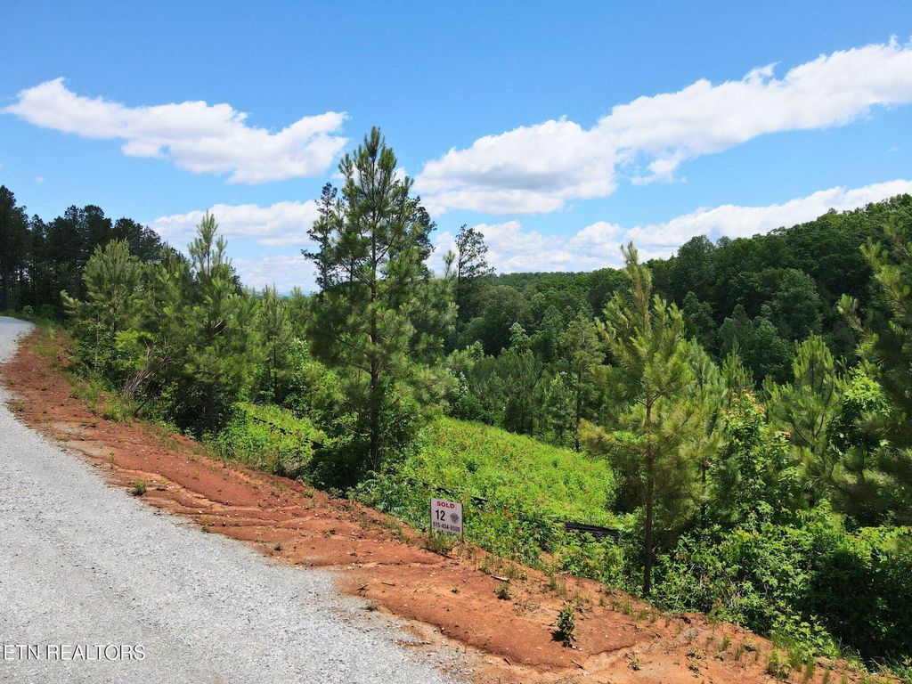 Photo of 12 Winding Tr, Vonore, TN 37885 (MLS # 1302514)