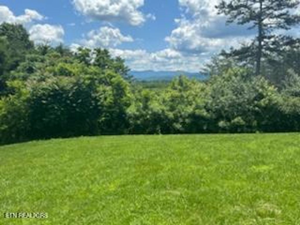 Photo of 639 Cagle Rd, Tellico Plains, TN 37385 (MLS # 1297136)