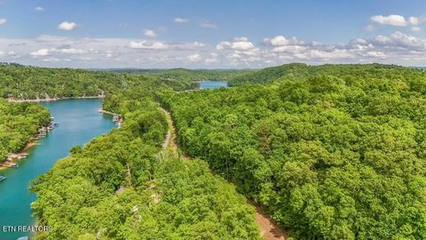 Yoakum Hollow Rd Jacksboro TN 37757