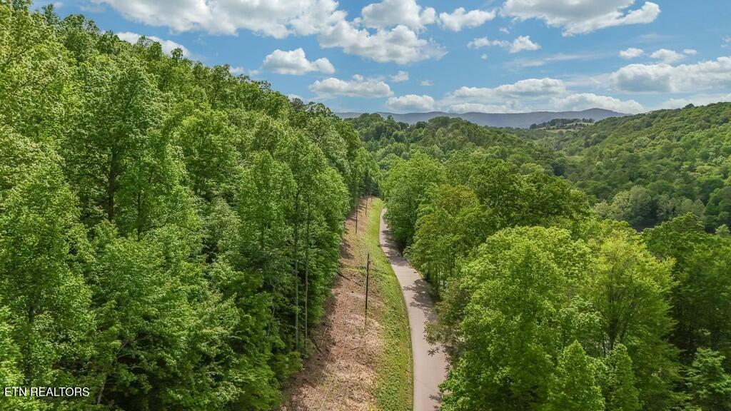 Yoakum Hollow Rd