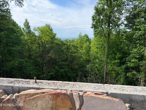Tiny photo for 823 Kings Way, Gatlinburg, TN 37738 (MLS # 1340111)