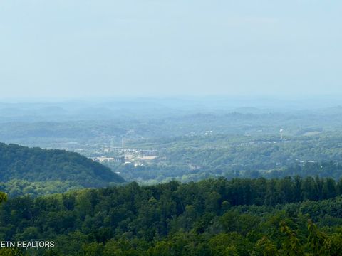 Tiny photo for 823 Kings Way, Gatlinburg, TN 37738 (MLS # 1340111)