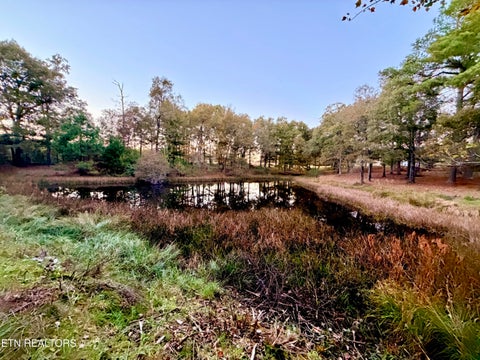 Tiny photo for Poke Patch Rd, Crossville, TN 38572 (MLS # 1360001)