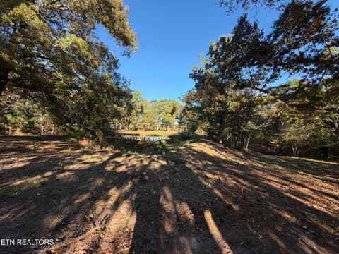 Tiny photo for Poke Patch Rd, Crossville, TN 38572 (MLS # 1360001)