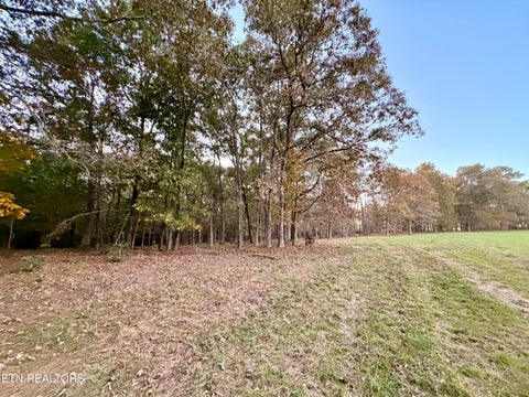 Tiny photo for Poke Patch Rd, Crossville, TN 38572 (MLS # 1360001)