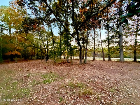 Tiny photo for Poke Patch Rd, Crossville, TN 38572 (MLS # 1360001)