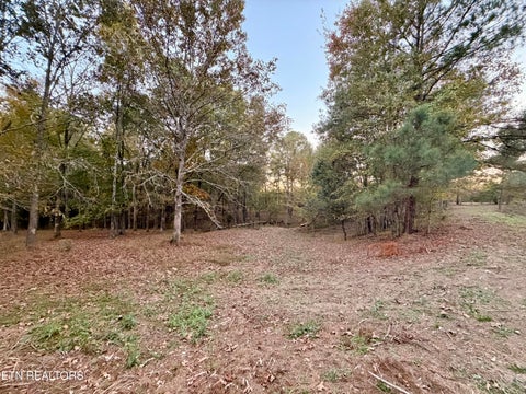 Tiny photo for Poke Patch Rd, Crossville, TN 38572 (MLS # 1360001)