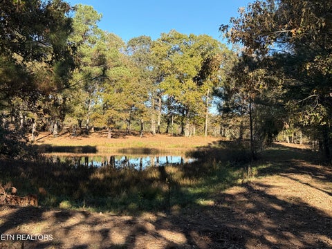 Tiny photo for Poke Patch Rd, Crossville, TN 38572 (MLS # 1360001)