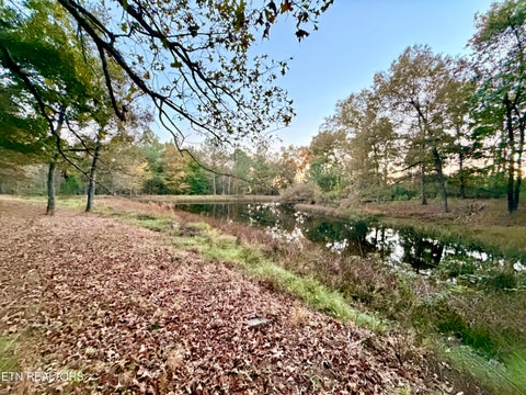 Tiny photo for Poke Patch Rd, Crossville, TN 38572 (MLS # 1360001)