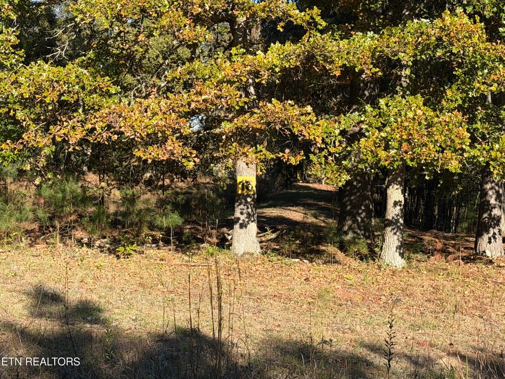 Photo of Poke Patch Rd, Crossville, TN 38572 (MLS # 1360001)