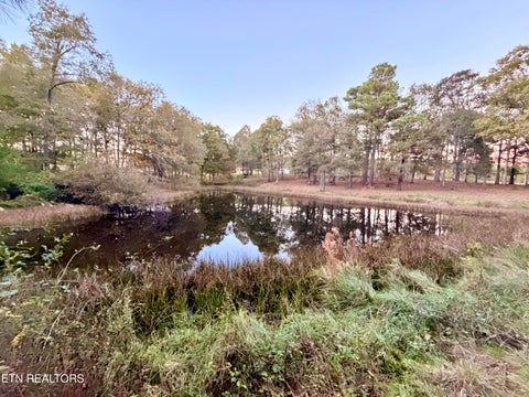 Tiny photo for Poke Patch Rd, Crossville, TN 38572 (MLS # 1360001)