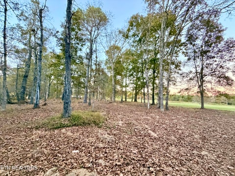 Tiny photo for Poke Patch Rd, Crossville, TN 38572 (MLS # 1360001)