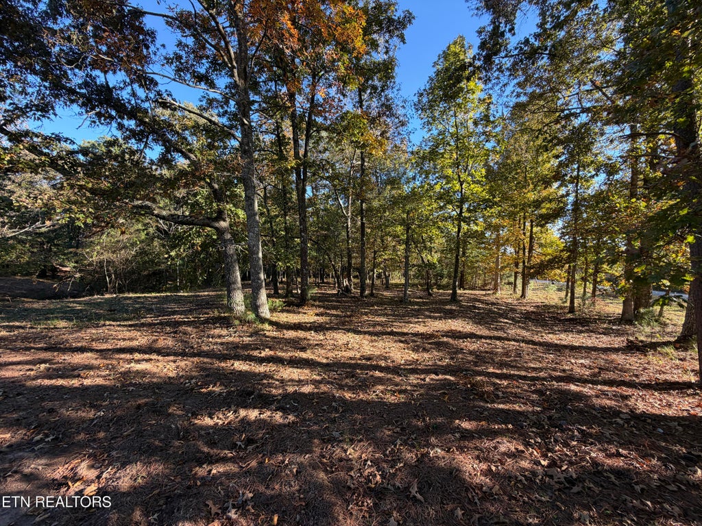 Photo of Poke Patch Rd, Crossville, TN 38572 (MLS # 1360001)