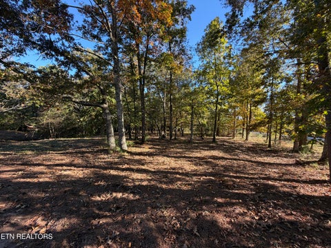 Tiny photo for Poke Patch Rd, Crossville, TN 38572 (MLS # 1360001)