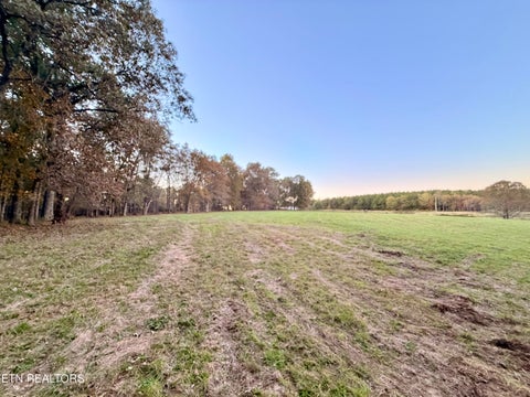 Tiny photo for Poke Patch Rd, Crossville, TN 38572 (MLS # 1360001)
