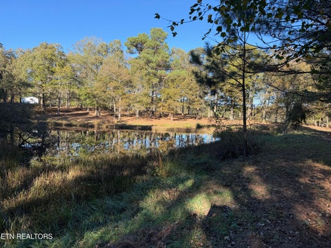 Tiny photo for Poke Patch Rd, Crossville, TN 38572 (MLS # 1360001)