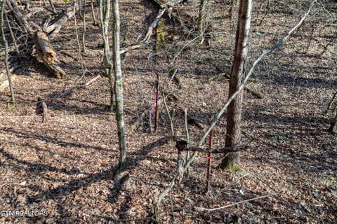Tiny photo for 10 Tarwater Lane, Sevierville, TN 37862 (MLS # 1359863)