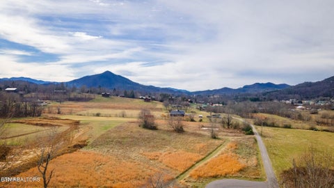 Tiny photo for 10 Tarwater Lane, Sevierville, TN 37862 (MLS # 1359863)