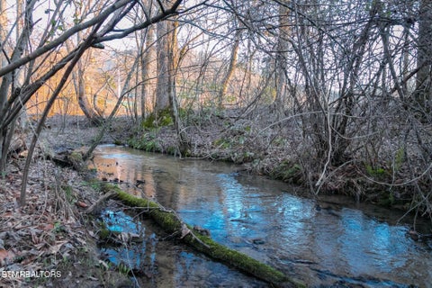 Tiny photo for 10 Tarwater Lane, Sevierville, TN 37862 (MLS # 1359863)