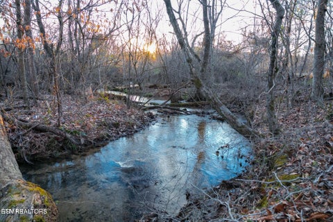 Tiny photo for 10 Tarwater Lane, Sevierville, TN 37862 (MLS # 1359863)