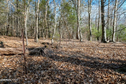 Tiny photo for 10 Tarwater Lane, Sevierville, TN 37862 (MLS # 1359863)