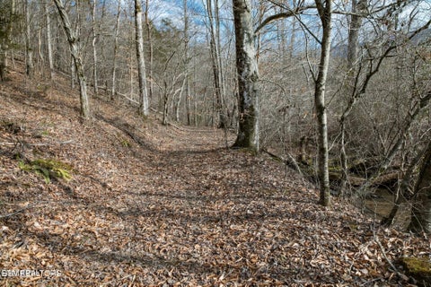 Tiny photo for 10 Tarwater Lane, Sevierville, TN 37862 (MLS # 1359863)