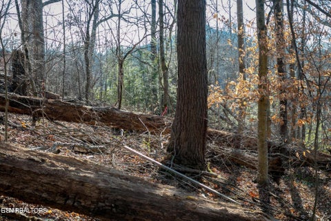 Tiny photo for 10 Tarwater Lane, Sevierville, TN 37862 (MLS # 1359863)