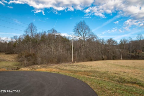 Tiny photo for 10 Tarwater Lane, Sevierville, TN 37862 (MLS # 1359863)
