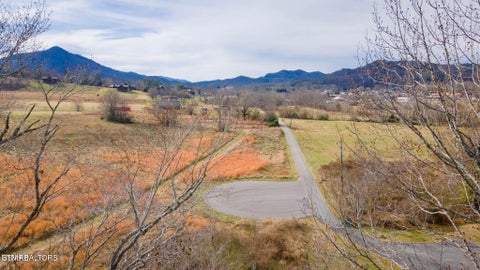 Photo of 10 Tarwater Lane, Sevierville, TN 37862 (MLS # 1359863)