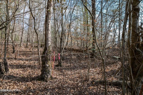Tiny photo for 10 Tarwater Lane, Sevierville, TN 37862 (MLS # 1359863)