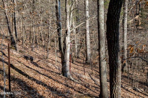 Tiny photo for 10 Tarwater Lane, Sevierville, TN 37862 (MLS # 1359863)