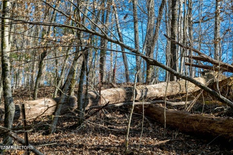 Tiny photo for 10 Tarwater Lane, Sevierville, TN 37862 (MLS # 1359863)