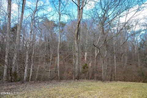 Tiny photo for 10 Tarwater Lane, Sevierville, TN 37862 (MLS # 1359863)