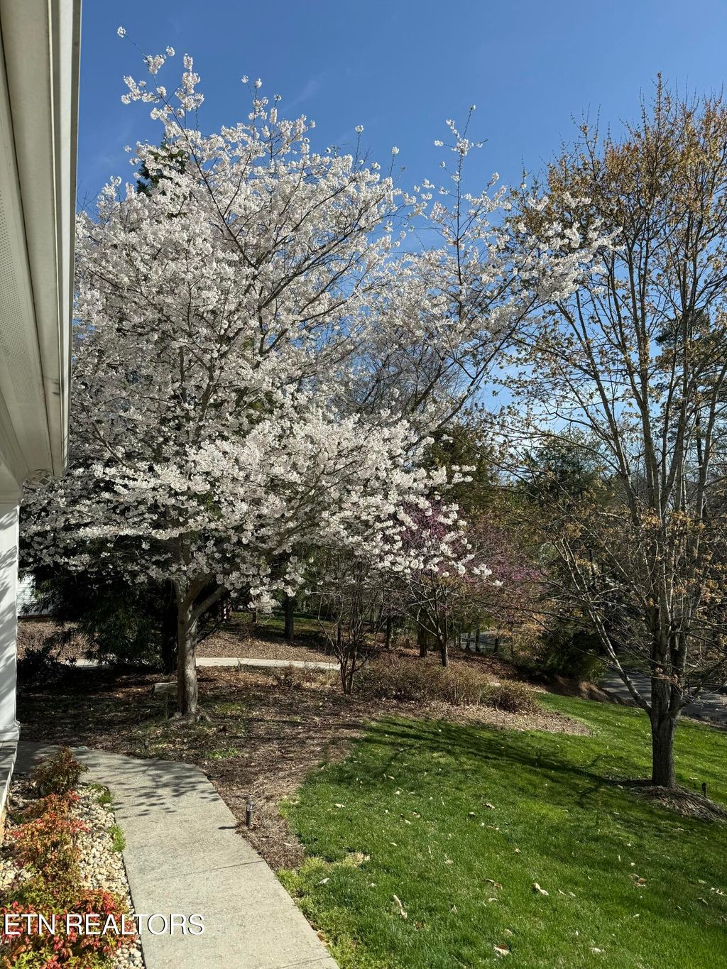 Photo of 186 Lake Crest Drive, Lenoir City, TN 37772 (MLS # 1308499)