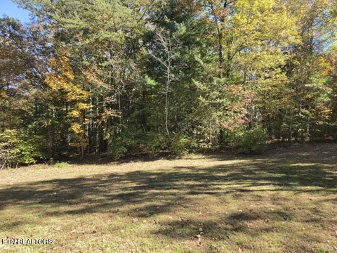 Tiny photo for 1575 Genesis Rd, Lancing, TN 37770 (MLS # 1360061)
