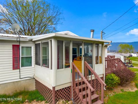Tiny photo for 242 Cowan Lane, LaFollette, TN 37766 (MLS # 1334562)