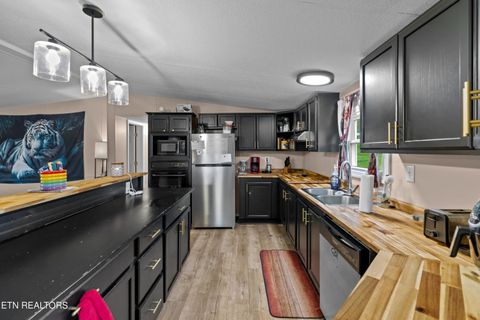Tiny photo for 242 Cowan Lane, LaFollette, TN 37766 (MLS # 1334562)
