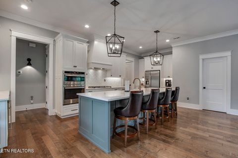 Tiny photo for 209 Fence Post Lane, Knoxville, TN 37934 (MLS # 1342573)