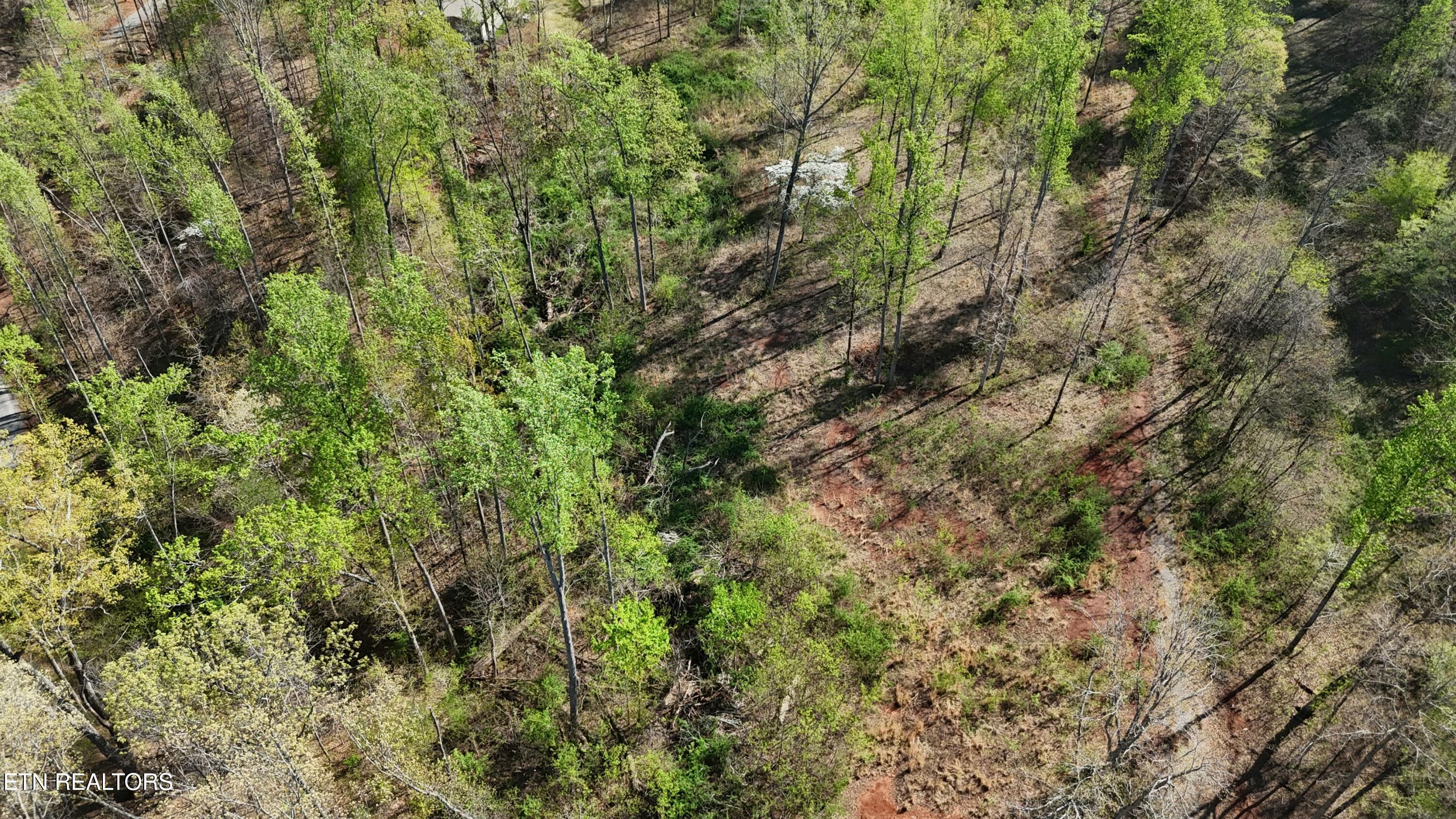 000 County Road 675
