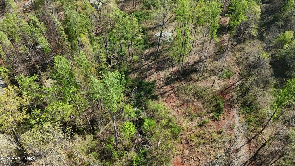 Photo of 000 County Road 675, Athens, TN 37303 (MLS # 1296878)