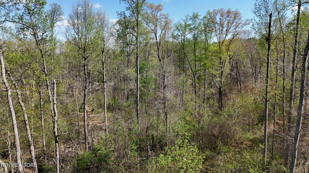 Photo of 000 County Road 675, Athens, TN 37303 (MLS # 1296878)