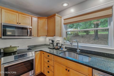 Tiny photo for 3844 Taliluna Ave, Knoxville, TN 37919 (MLS # 1329623)