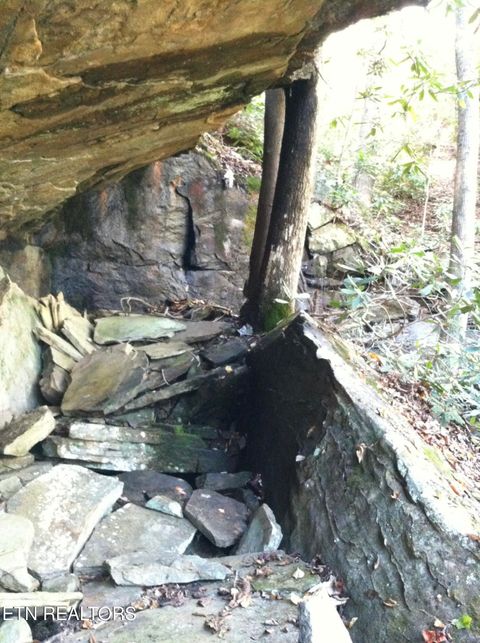 Tiny photo for Arbutus Trail (aka Silcox Ford Rd S/0), Helenwood, TN 37755 (MLS # 1328517)