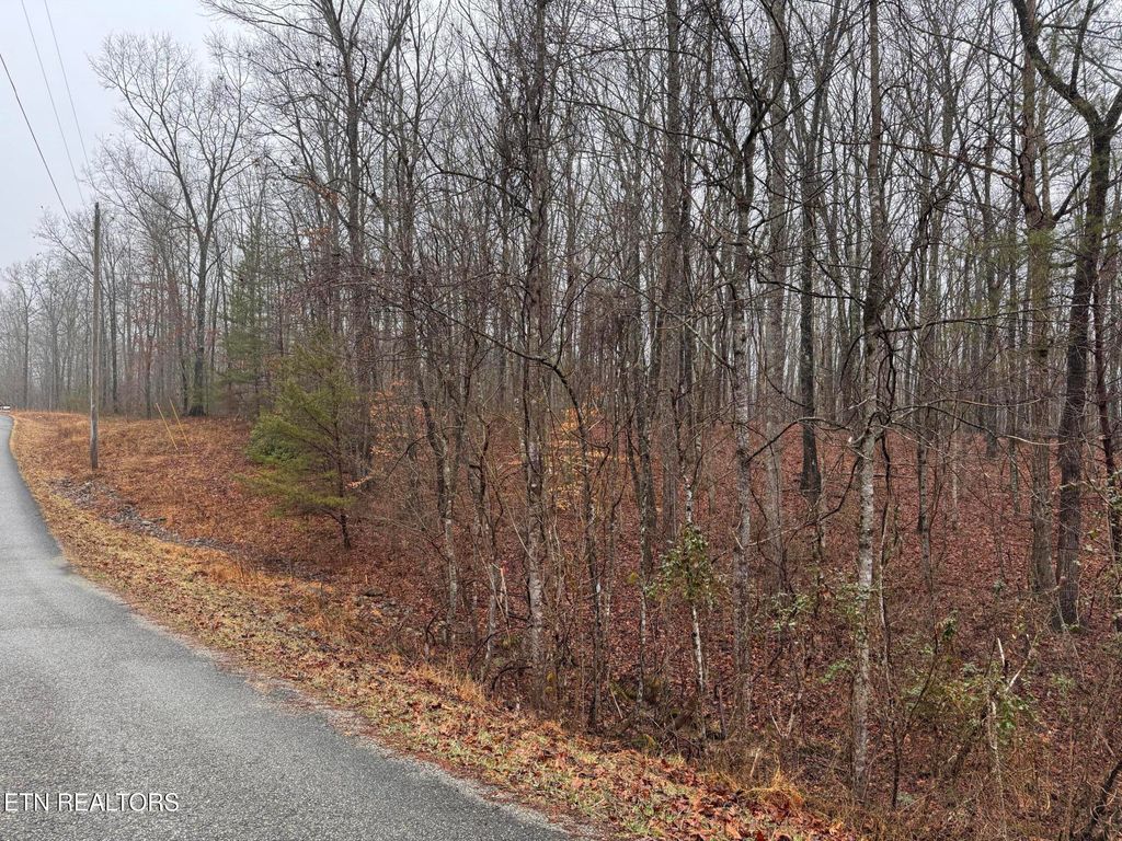 Photo of Arbutus Trail (aka Silcox Ford Rd S/0), Helenwood, TN 37755 (MLS # 1328517)