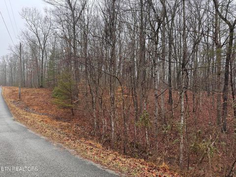 Tiny photo for Arbutus Trail (aka Silcox Ford Rd S/0), Helenwood, TN 37755 (MLS # 1328517)